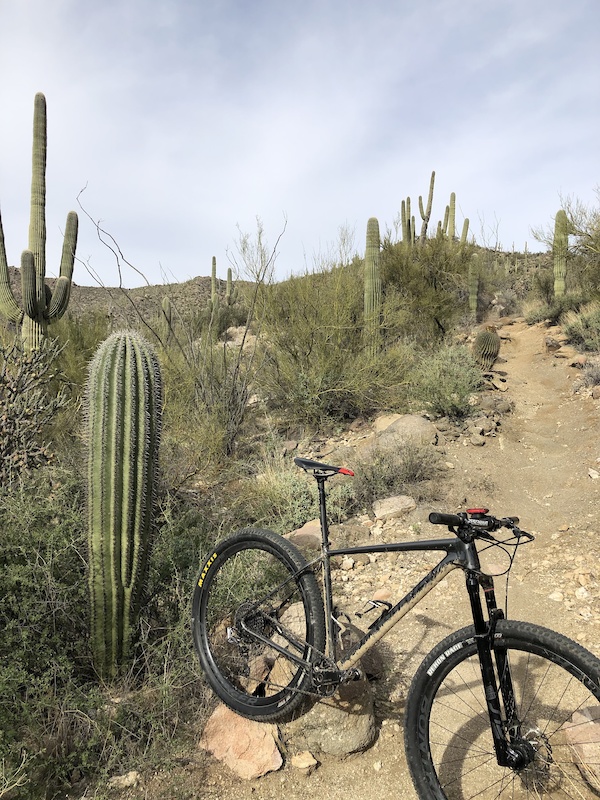 Alamo Spring (upper) Multi Trail Marana, Arizona