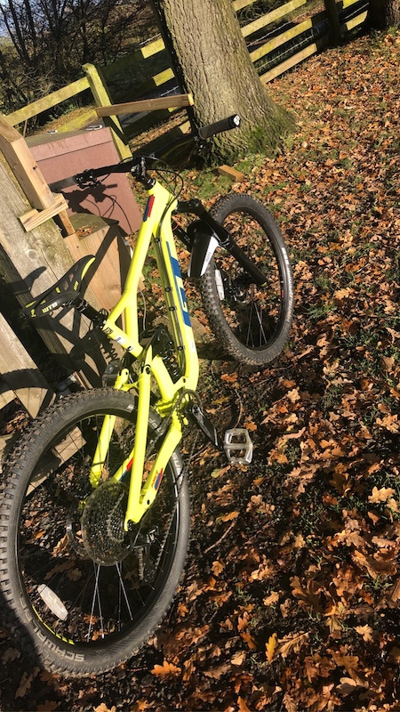 specialized levo weight