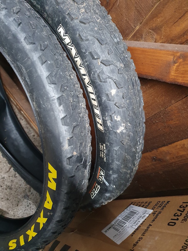 maxxis mammoth 26x4 0