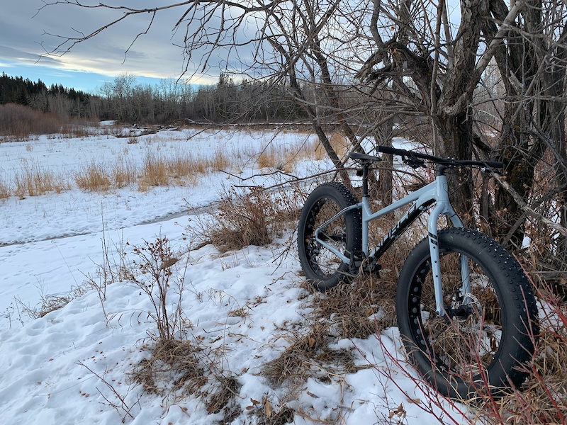 norco fat bike 2019