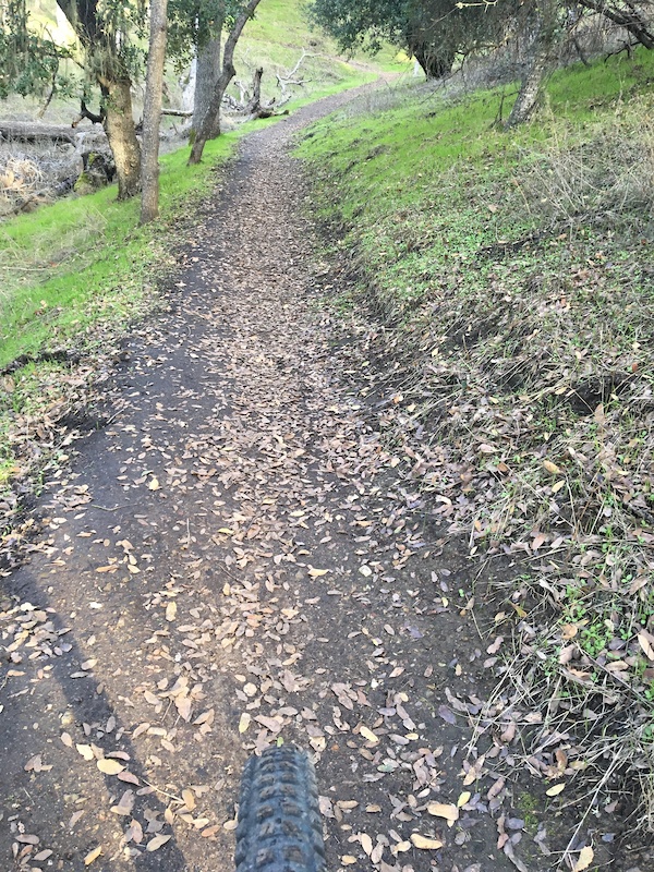 Blue Oak Trail Multi Trail Atascadero, California