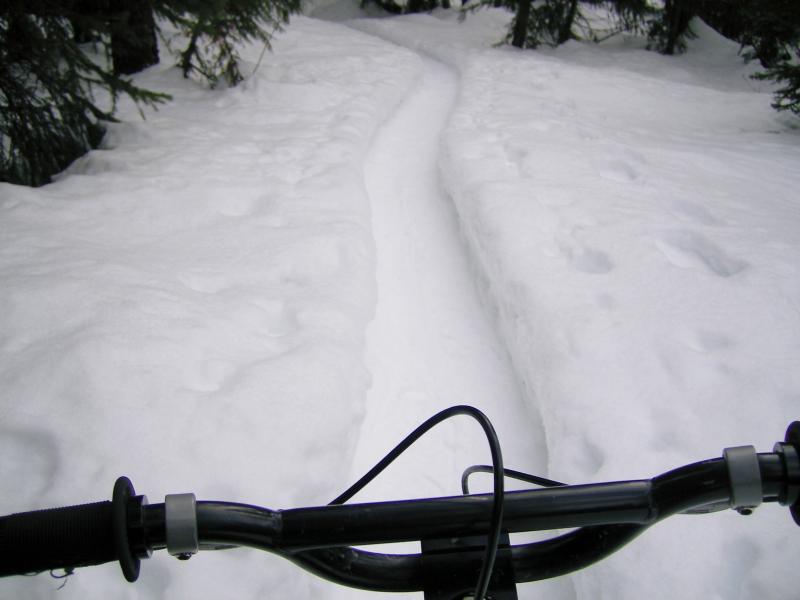 sweet smooth singletrack in january