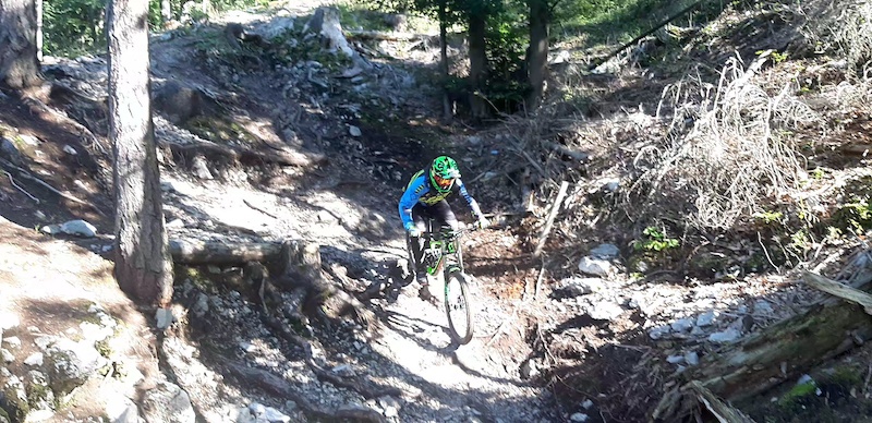 downhill mountain bike trails