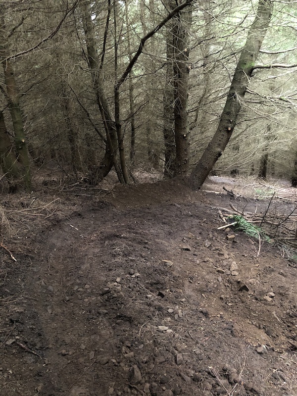 glentress mtb trail map