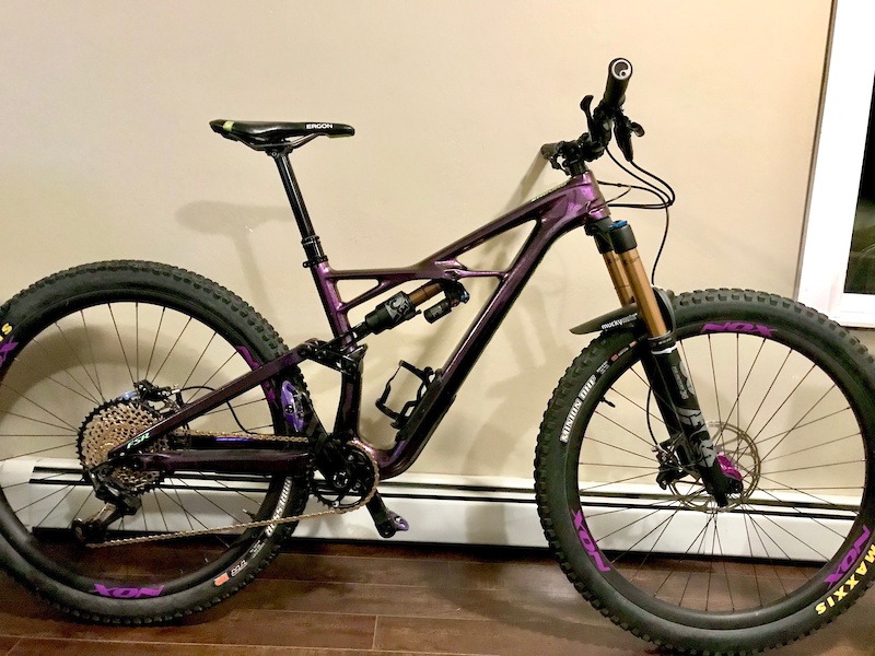 specialized enduro 2019 s works