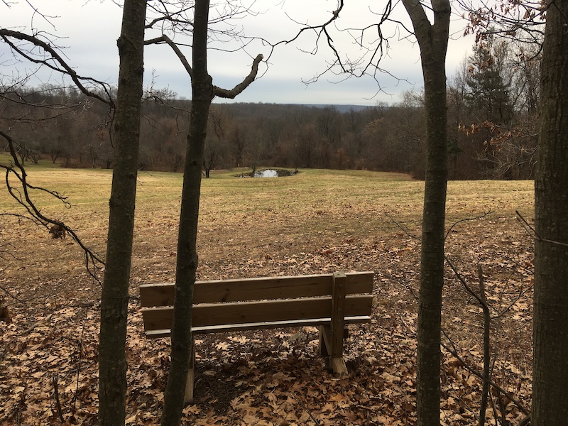 Bush Hill Preserve White Trail Hiking Trail Manchester