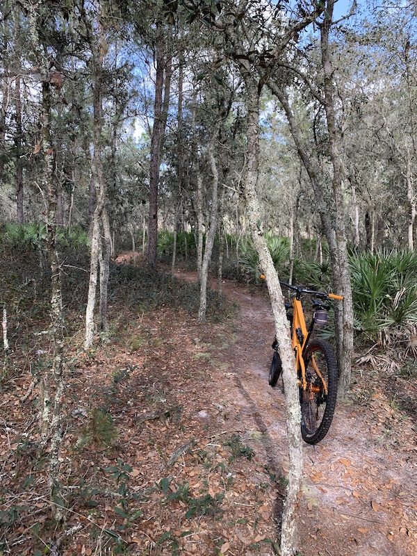 Starkey Park Mountain Bike Trail Map Jay B. Starkey Park Mountain Biking Trails | Trailforks