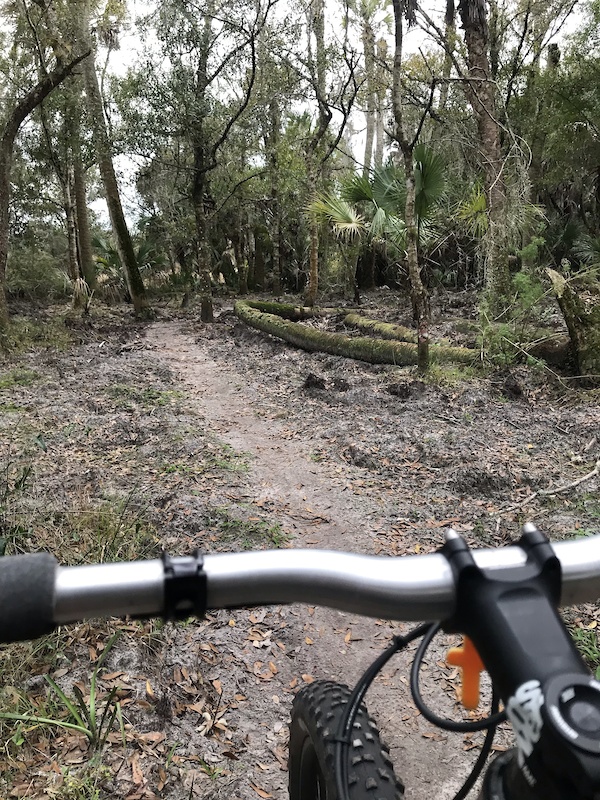 Caloosahatchee mountain bike discount trail