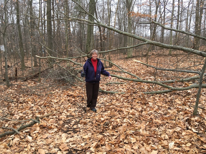 B. H. P. Hiking Trail Manchester, Connecticut