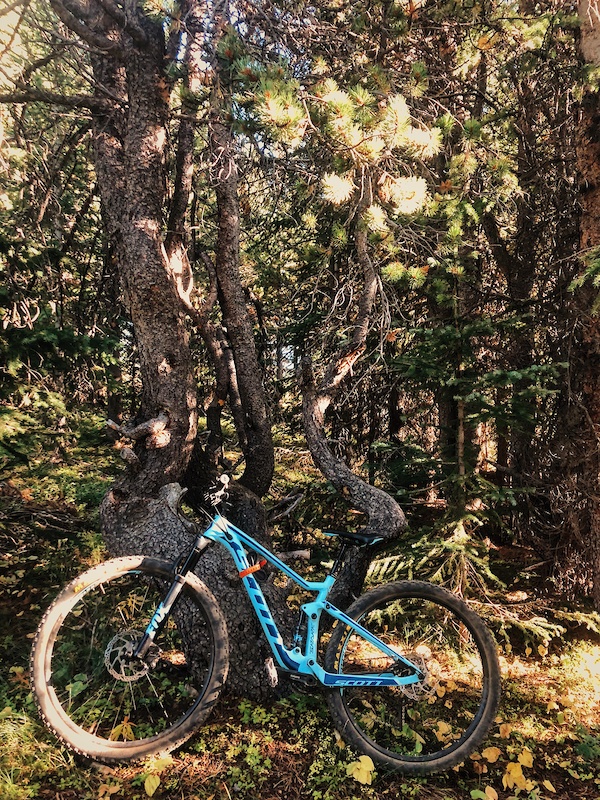 scott contessa spark 920 2018