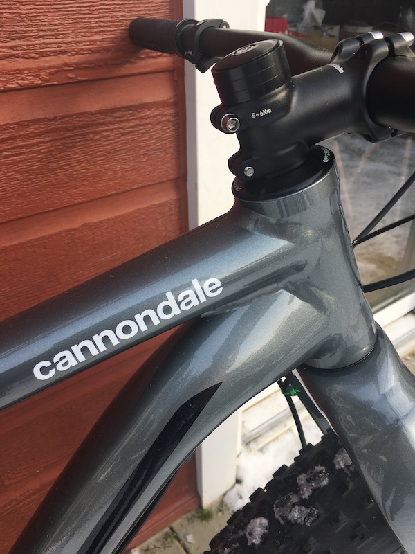 cannondale 2020 fat caad 1