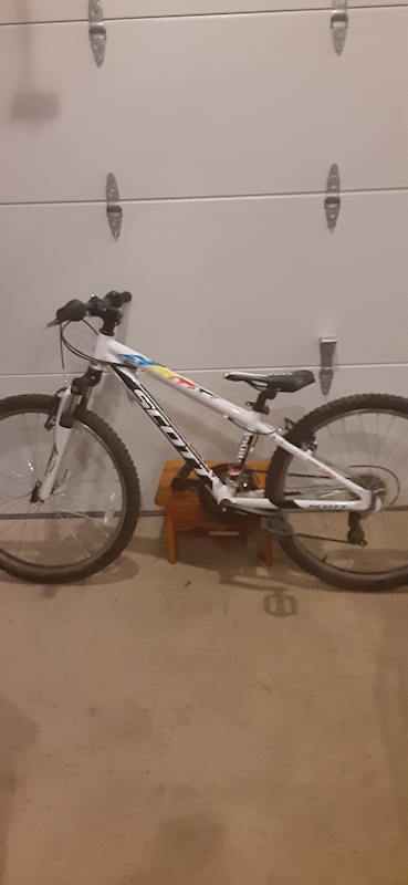 scott junior 24 mountain bike