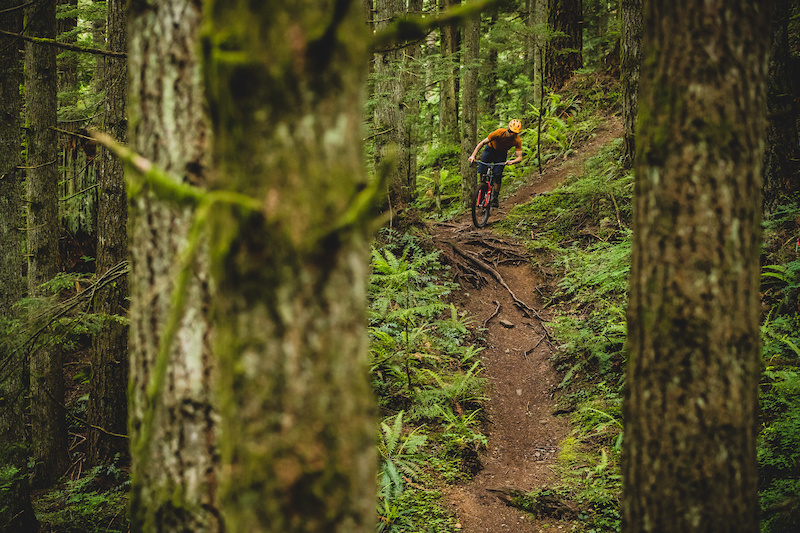 Most of Blanchard Mountain Biking Route Trailforks