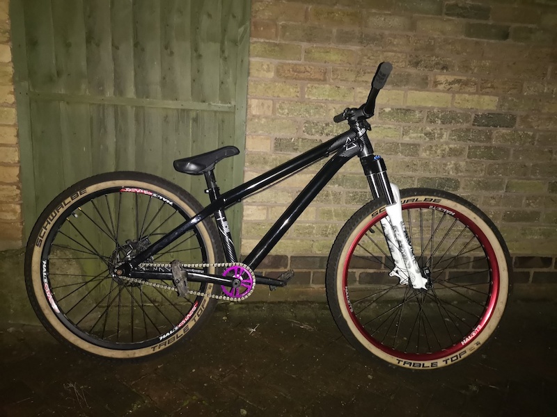 octane one zircus review