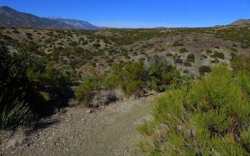 Pinyon Flats Mountain Biking Trail La Quinta, CA