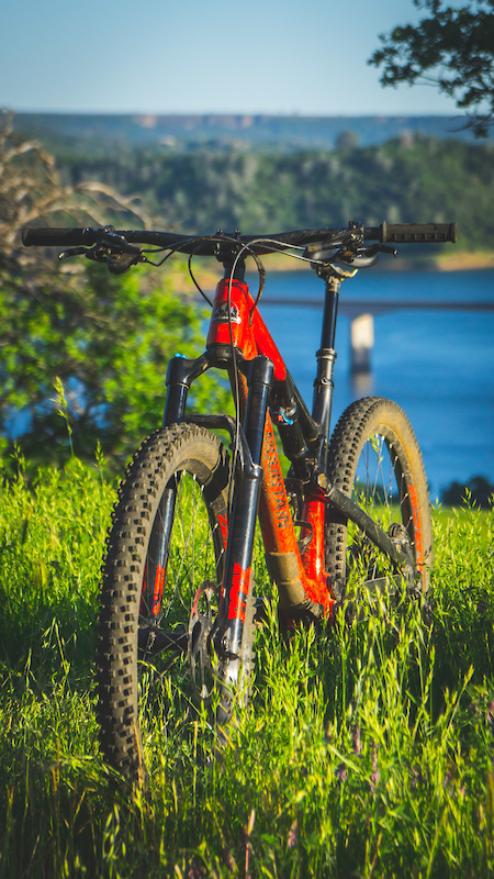 rocky mountain thunderbolt c70 2019