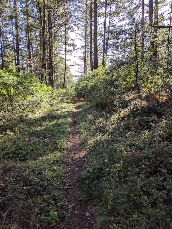 Grassy Slope Overlook Mountain Biking Trail - Fairfax