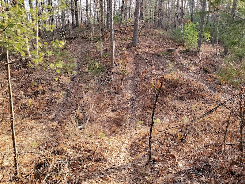 Bunker Hill Mountain Biking Trail Belchertown, MA