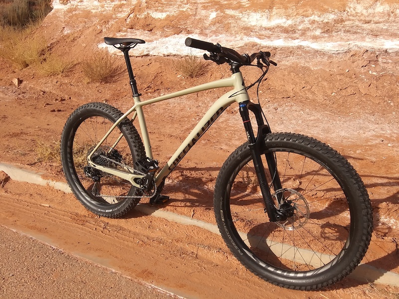 2019 fuse expert