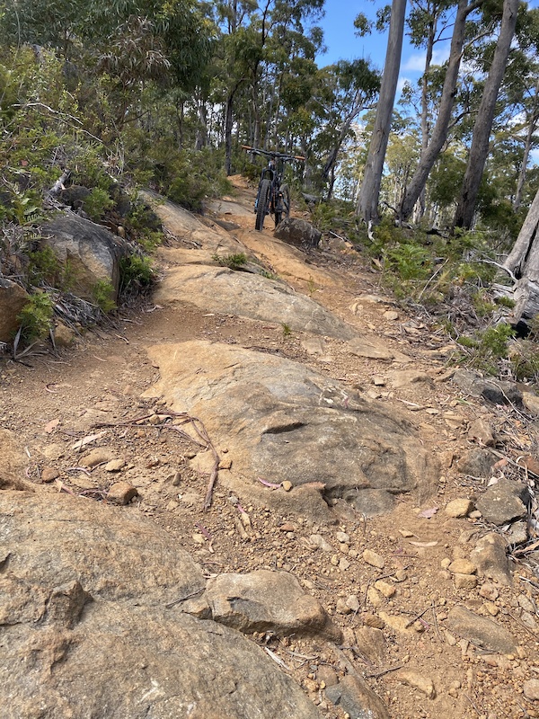 hollybank mountain bike park