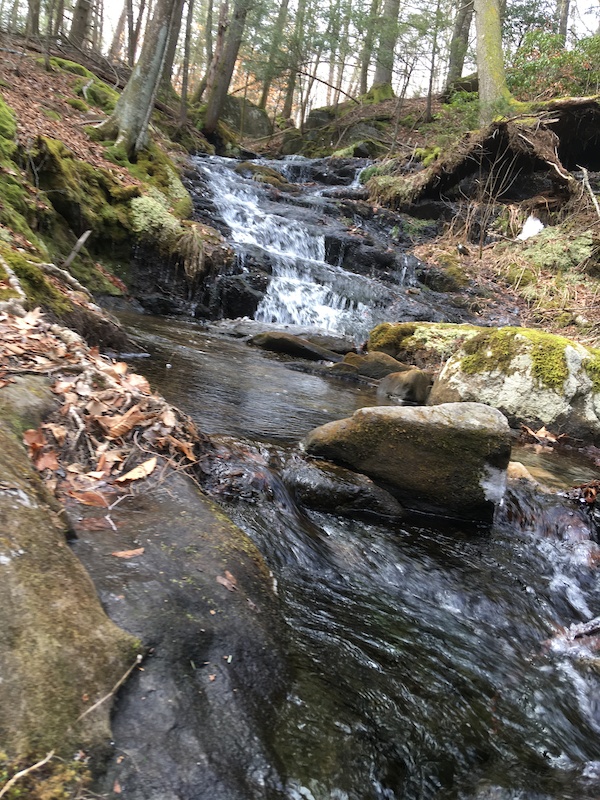 Arbor Acres Hiking Trail Glastonbury, Connecticut