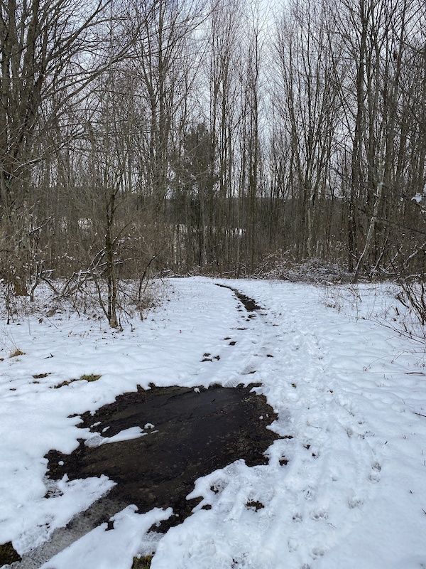 Bear Paw Mountain Biking Trail Dalton, Pennsylvania