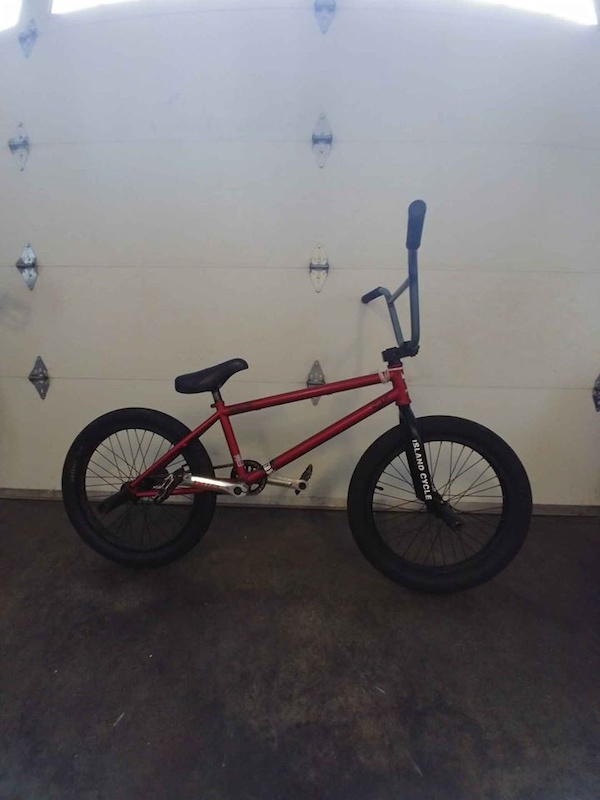 Premium stray clearance bmx bike 2018