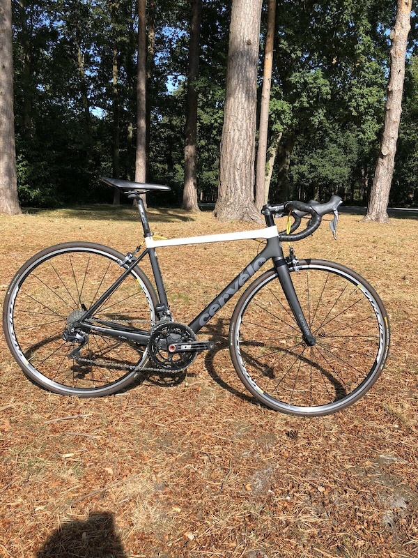 cervelo 51cm for sale