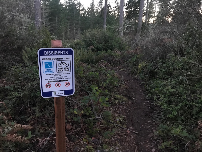 360 Trails Gig Harbor Mountain Biking Trails Trailforks