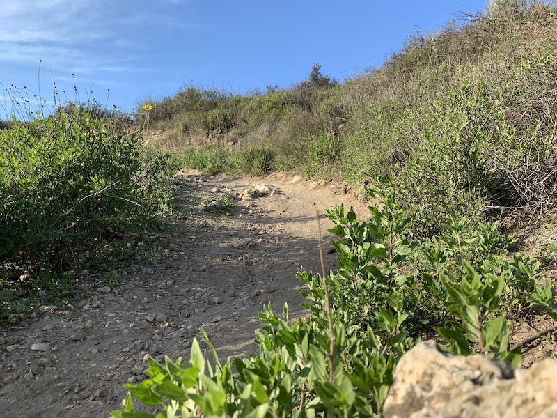 Woodridge loop Mountain Biking Trail Simi Valley