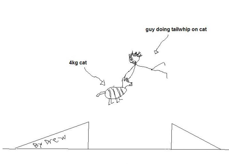 tailwhip on a cat.....