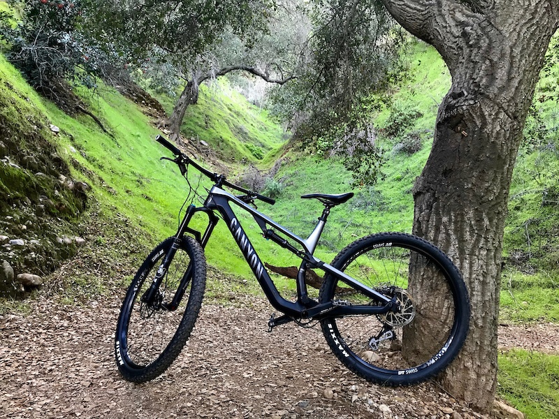 canyon trail bike
