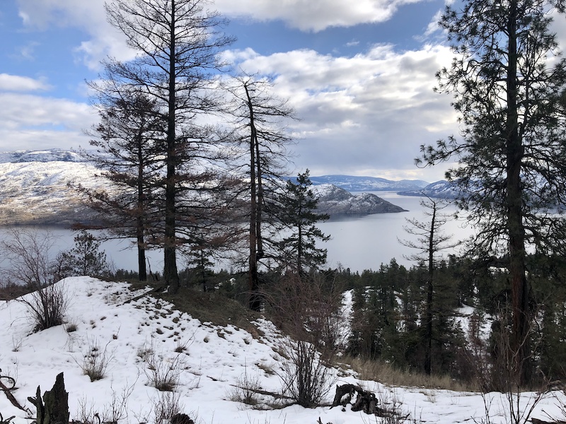 Gladstone Hiking Trail West Kelowna, BC Trailforks