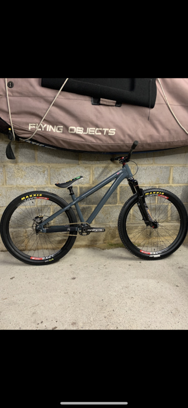 santa cruz jackal for sale