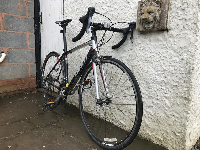 2015 Giant Defy Aluxx For Sale