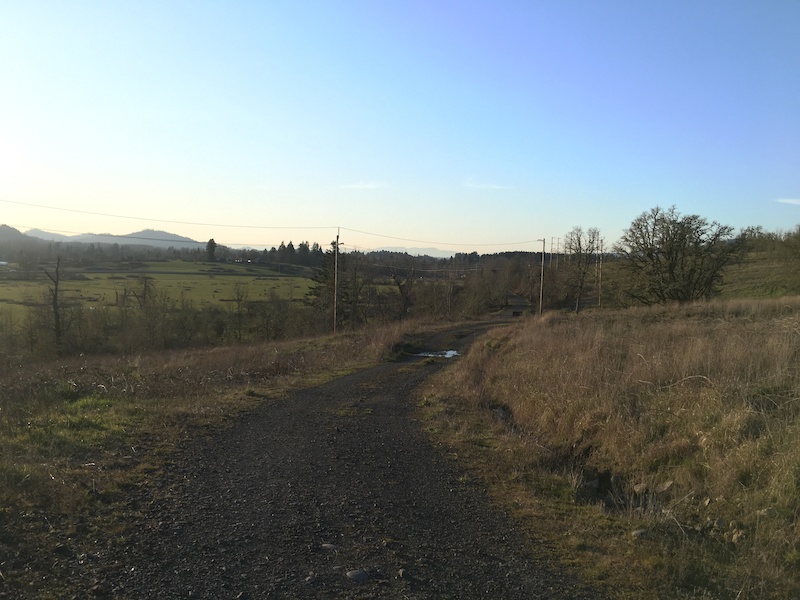 Thurston Hills Natural Area, Springfield Mountain Biking Trails ...