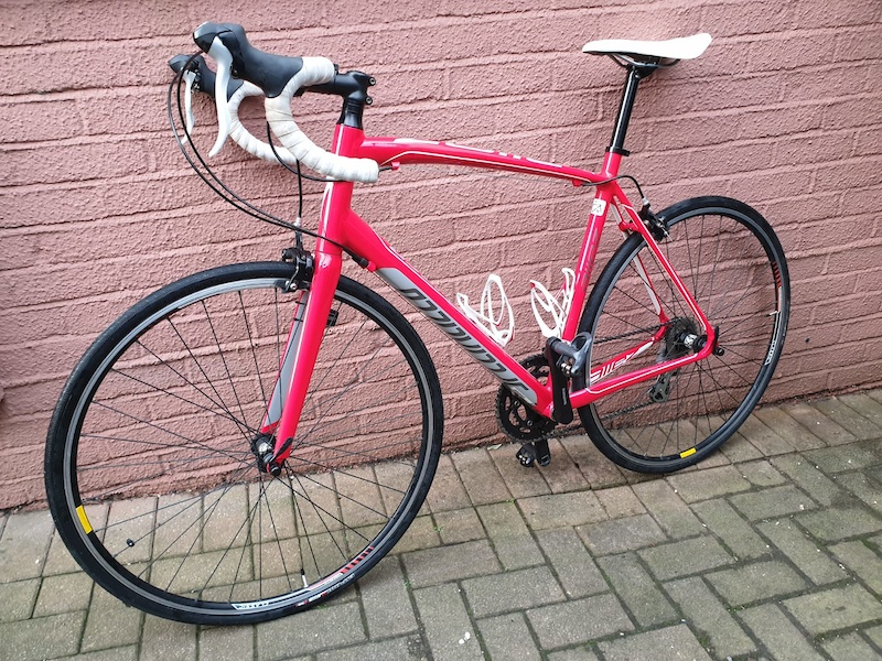 specialized allez 2013