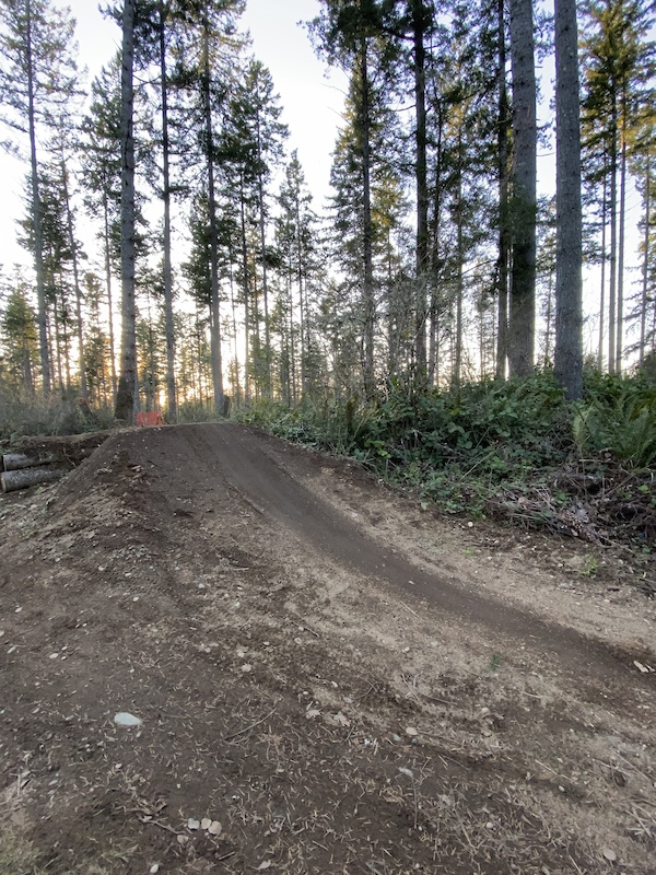 Jump Line (Advanced) Mountain Biking Trail Gig Harbor