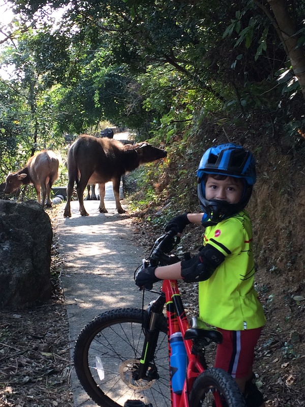 mtb trail near me