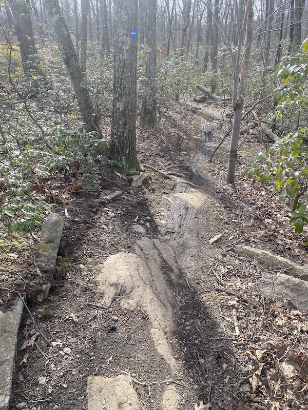 in Tenafly, New Jersey, United States photo by