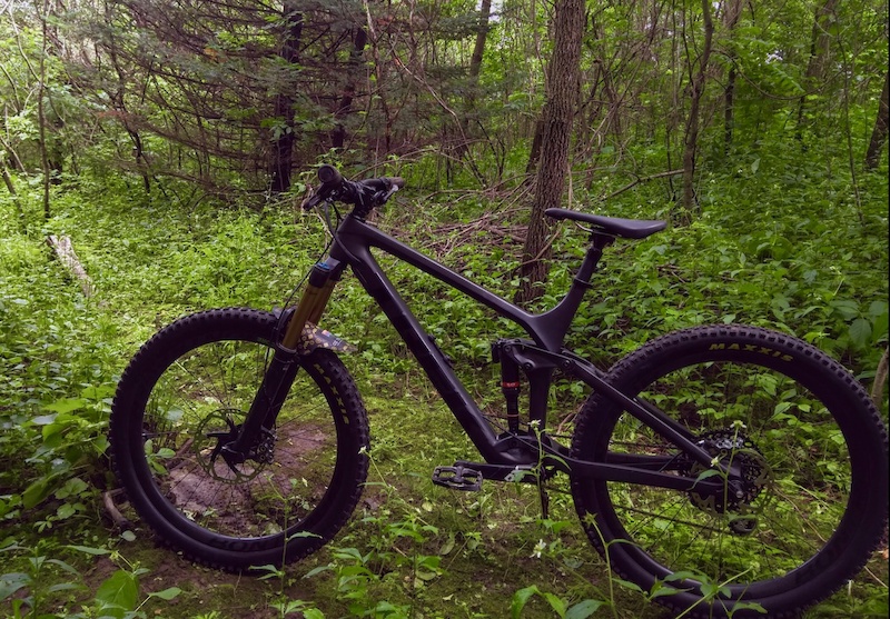 2019 trek remedy 9.9