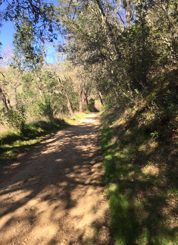 Oat Hill Mine Multi Trail - Calistoga, California