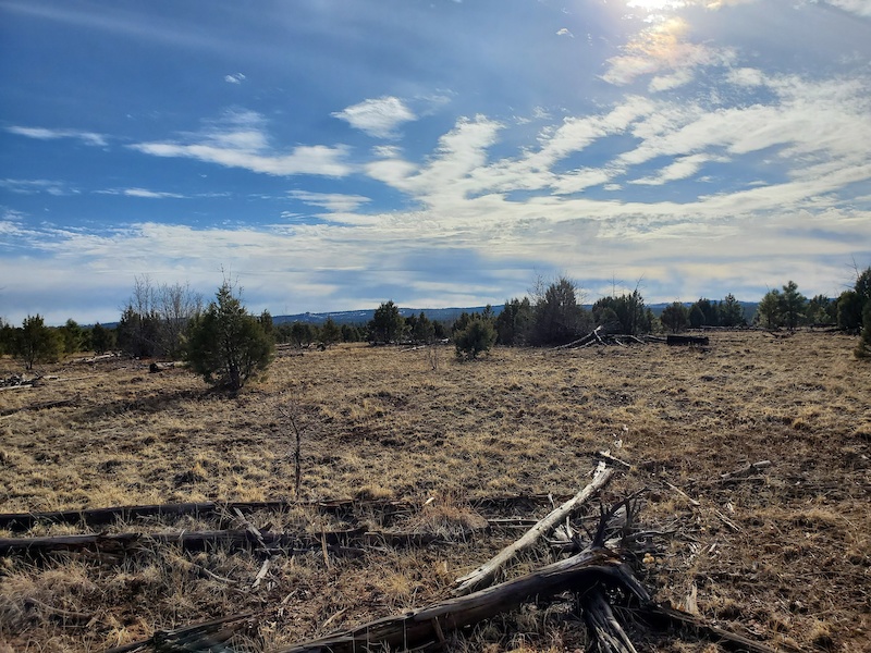 Heber, Arizona Mountain Biking Trails Trailforks