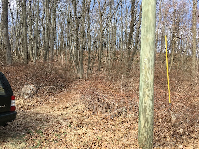 Tulip Tree Trail Access Hiking Trail Vernon, CT