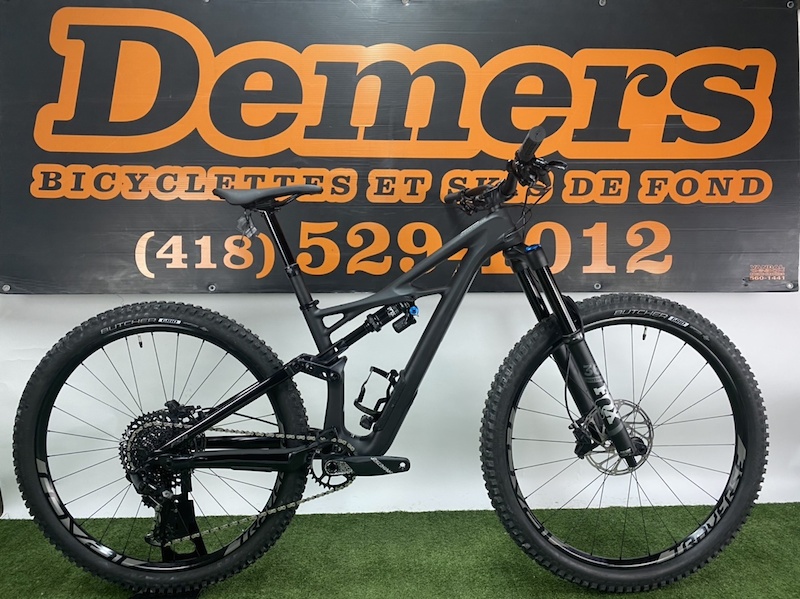 specialized enduro elite 2019