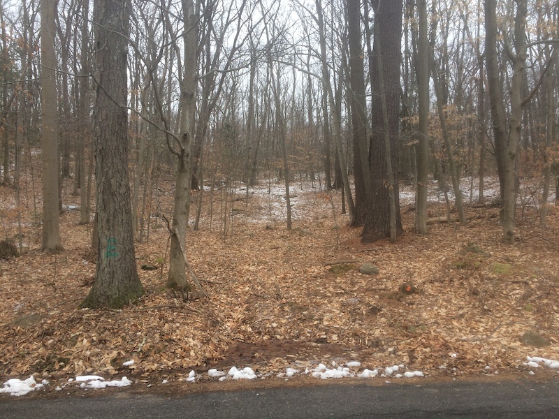 ManchesterEssex Woods, Essex Mountain Biking Trails Trailforks