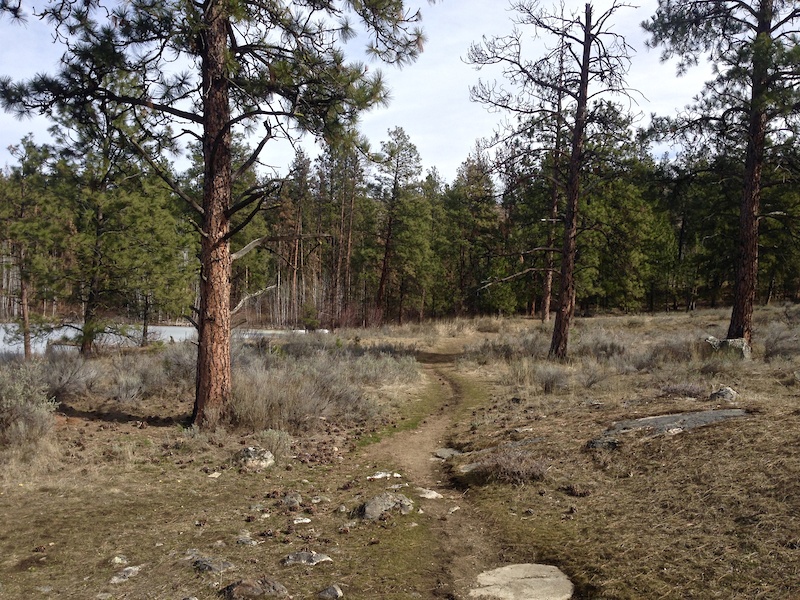 Rattlesnake Lake Loop Multi Trail Oliver, BC