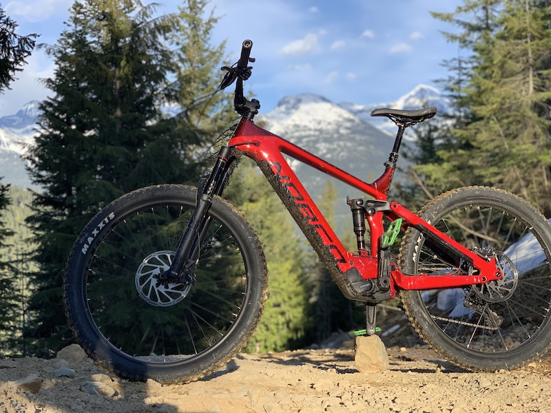 norco sight vlt 2019