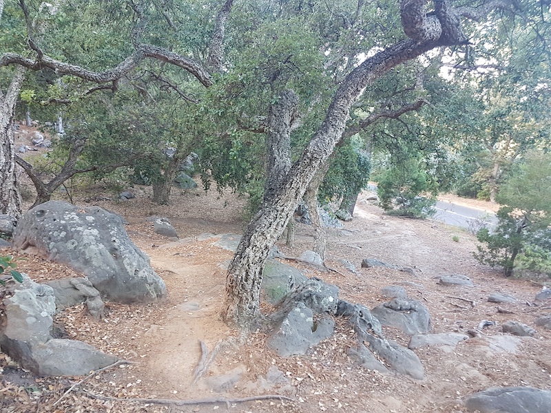 Tokai Greenbelt to Kings Blockhouse Mountain Biking Route Trailforks