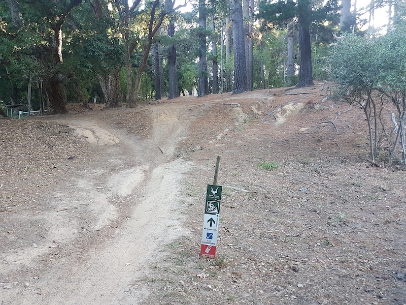 Newlands Forest Table Mountain Block House Mountain Biking Route